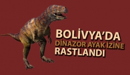 Bolivya’da Dinozora Ait Ayak İzine Rastlandı