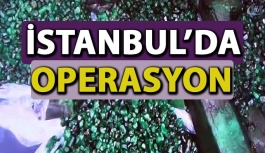 İstanbul'da zümrüt operasyonu