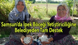 Samsun’da İpek Böceği Yetiştiriciliğine Belediyeden Tam Destek