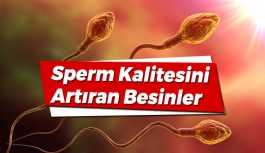 Sperm Kalitesini Artıran Besinler