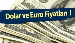 Dolar ve Euro Fiyatları Ne Kadar?