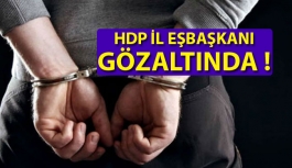 HDP İl Eşbaşkanı Gözaltında