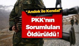 PKK'nın Sorumluları Öldürüldü