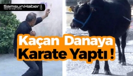 Kaçan Kurbanlık Danaya Karate Yaptı