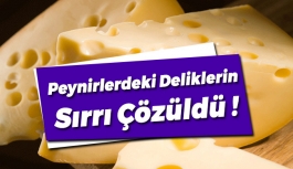 Peynirlerde Oluşan Deliklerin Sırrı Çözüldü