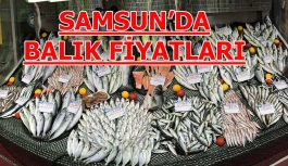 Samsun'da Balık Fiyatları