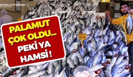 Samsun'da Balıkçılar Hem Güldü Hem Düşündüler