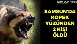 Samsun'da Köpek Yüzünden 2 Kişi Öldü