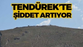 Tendürek Dağı'nda şiddet artıyor