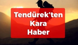 Tendürek'ten Kara Haber