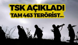 TSK Rakamları Açıkladı Tam 463 Terörist...