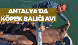 Antalya'da Köpek Balığı Yakalandı!