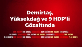 Demirtaş, Yüksekdağ ve 9 HDP'li Gözaltında