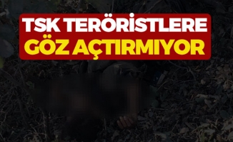 Valilik Açıkladı İki Terörist Öldürüldü