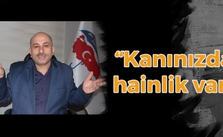 Ahmet Kabadayı: ' Kanınızda hainlik var'
