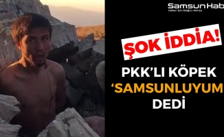 Dağda Yakalanan PKK'lı Terörist 'Samsunluyum' Dedi