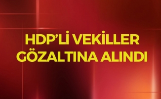 HDP'li Vekiller Gözaltında