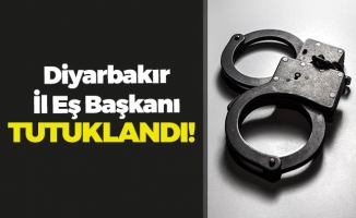 Diyarbakır İl Eş Başkanı'na Tutuklama!