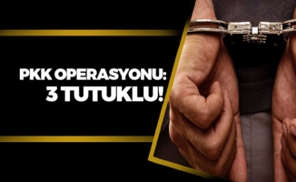 PKK Operasyonunda 3 Kişi Tutuklandı!