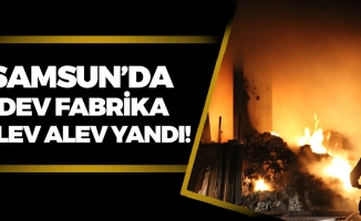 Samsun'da Bir Fabrikada Yangın Çıktı!