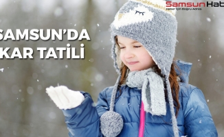 Samsun'da O İlçede Birçok Okula Kar Tatili