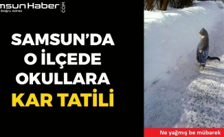 Samsun'da O İlçede Okullara Kar Tatili