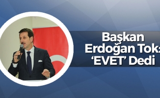 Erdoğan Tok: 'Evet' Dedi
