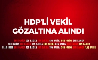 HDP'li Vekil Gözaltına Alındı