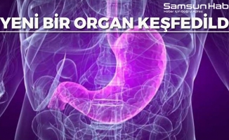 İnsan Vücudunda Yeni Bir Organ Keşfedildi
