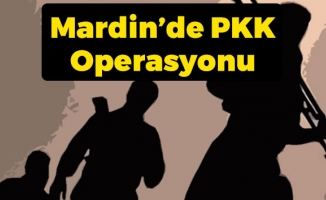 Mardin’de PKK Operasyonu