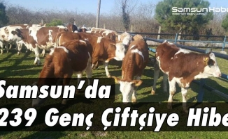 Samsun'da Genç Çiftçilere Hibe Desteği