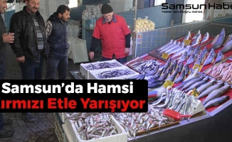 Samsun'da Hamsi Kırmızı Et İle Yarışıyor