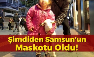 Samsun'un Maskotu Haline Gelen Kuzu Vatandaşların İlgi Odağı Oldu