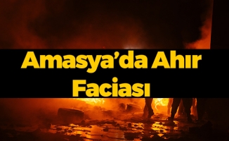 Amasya'da Ahır Faciası!