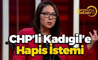 CHP Parti Meclisi Üyesi Kadıgil’e Hapis İstemi