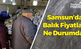 Samsun'da Balık Fiyatları Ne Durumda?