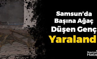 Samsun'da Başına Ağaç Düşen Genç Ağır Yaralandı