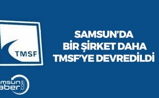 Samsun'da Bir Şirket Daha TMSF'ye Devredildi