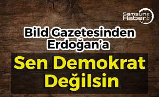 Alman Gazetesinden Erdoğan’a ''Sen Demokrat Değilsin''