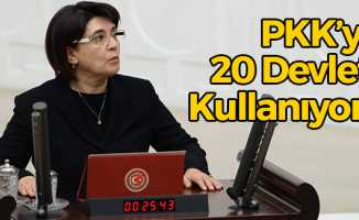 PKK'yı 20 Devlet Kullanıyor!