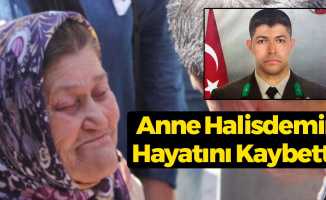 Son Dakika... Şehit Astsubay Ömer Halisdemir'in Annesi Hayatını Kaybetti