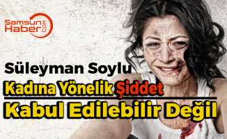 Süleyman Soylu, Kadına Karşı Şiddeti Eleştirdi