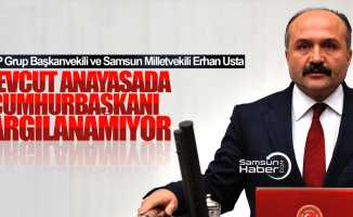 MHP'li Usta: Cumhurbaşkanı mevcut anayasada yargılanamıyor
