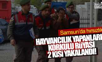 Samsun'da hayvan hırsızlığından 2 kişiye gözaltı