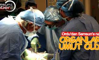 Şasiye Kütük'ün organları Samsun'da hastalara umut oldu