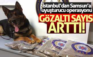 İstanbul'dan Samsun'a uyuşturucu sevkiyatında flaş gelişme