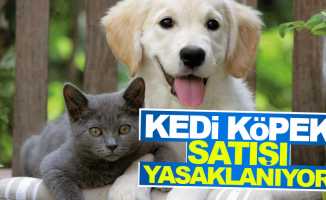 Kedi ve köpekler pet shoplarda satılamayacak