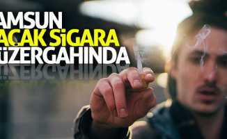 Samsun'da bin 130 paket kaçak sigara ele geçirildi