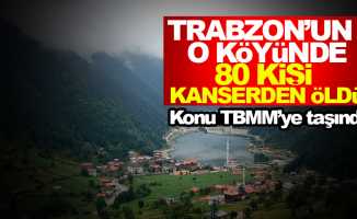 Trabzon'da yaşanan ölümler TBMM'ye taşındı