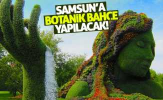 Samsun'a oyuncak müzesi ve botanik park yapılacak